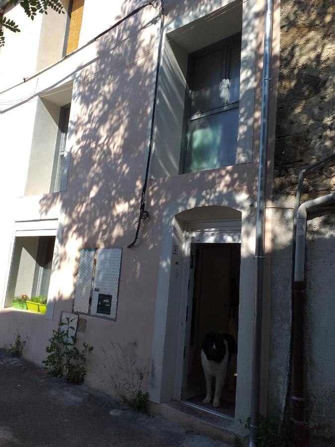 La Maison D Annick Apartment Lodeve Bagian luar foto